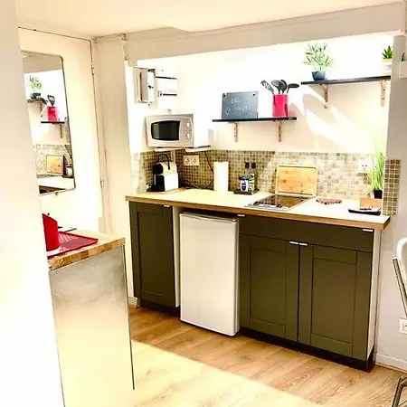Studio Au Coeur Du Vieux شقة نيس